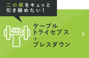 二の腕をキュッと引き締めたい！ ケーブルトライセプスプレスダウン